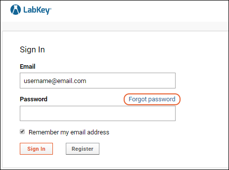 Password Reset Documentation