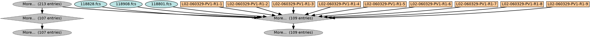 Run Graph