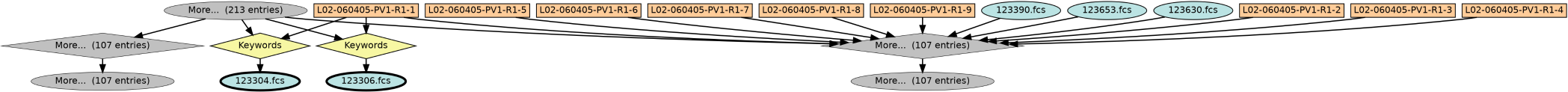 Run Graph