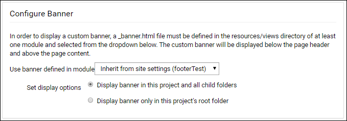 bannerOptions.PNG